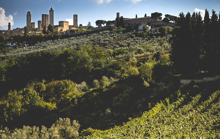 wedding in tuscany